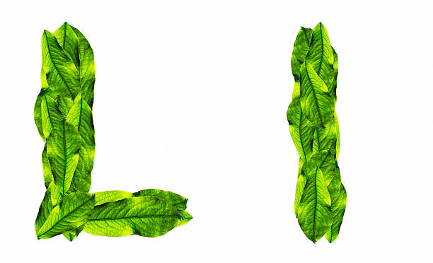 istock font green leafs 