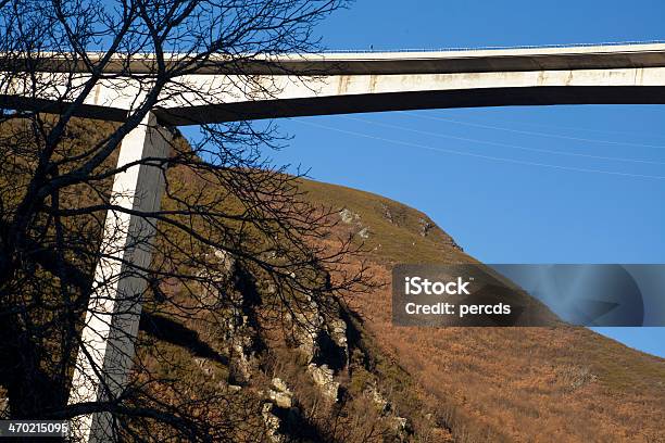 Viaduto De Baixo - Fotografias de stock e mais imagens de Ambiente vegetal - Ambiente vegetal, Arbol, Autoestrada