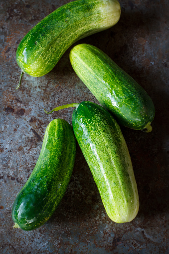 Organic cucumber fresh from garden