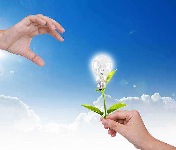 istock Light bulb with small plant in hand 470221131