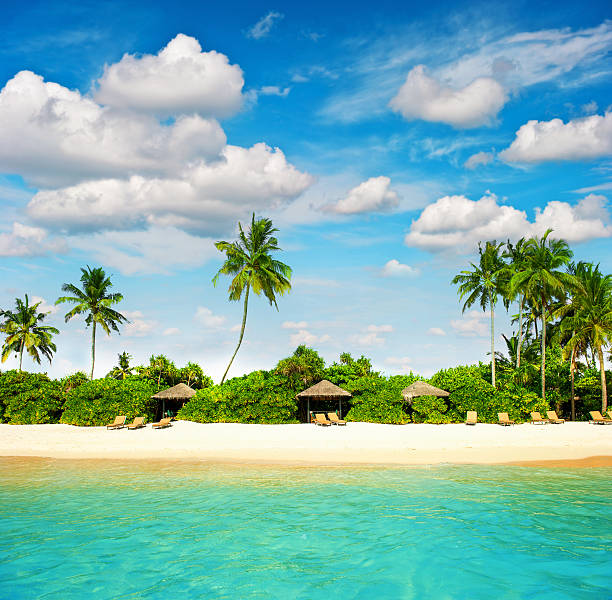 istock tropical island beach with perfect blue sky 470221785