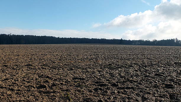 Topsoil A fertile topsoil, arable farming land, plowed field, ready for cultivation, in bright january sun, near Nannhofen, Bavaria. kultivieren stock pictures, royalty-free photos & images