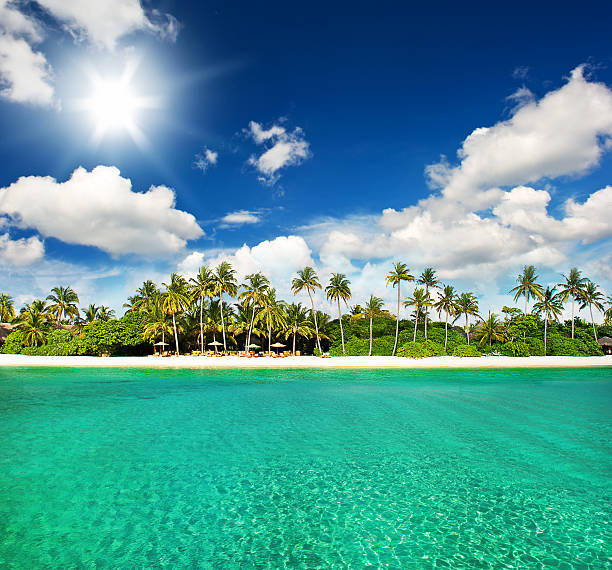 istock paradise tropical island beach with perfect sunny sky 470224901