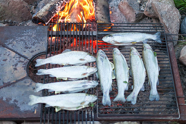 pescado en una hoguera de la cocina - grilled broiling outdoors horizontal fotografías e imágenes de stock