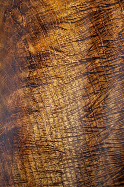 nice wood texture stock photo