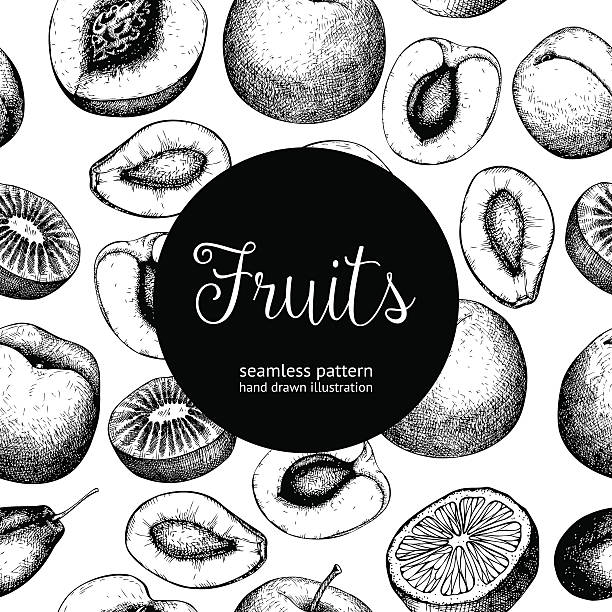 ilustraciones, imágenes clip art, dibujos animados e iconos de stock de fondo vintage frutas - plum grape fruit clip art