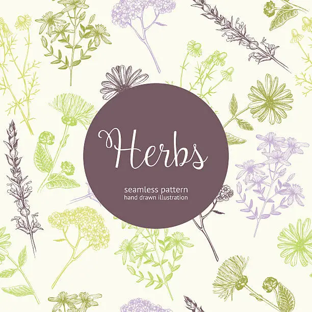 Vector illustration of A background of different types of colorful herbs