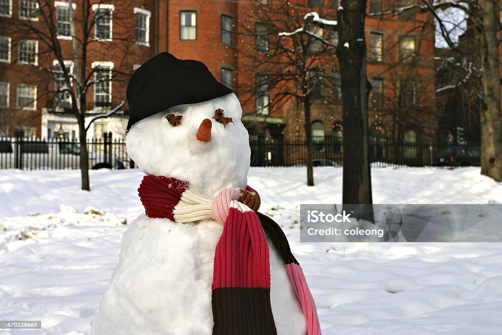 Schneemann - Lizenzfrei Boston Stock-Foto