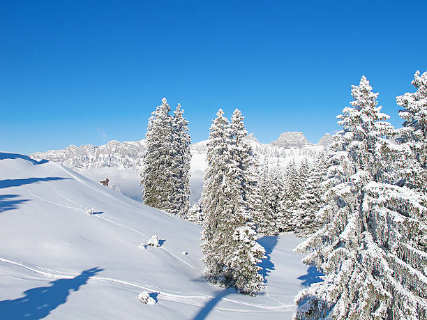 istock Winter in the alps 470230214