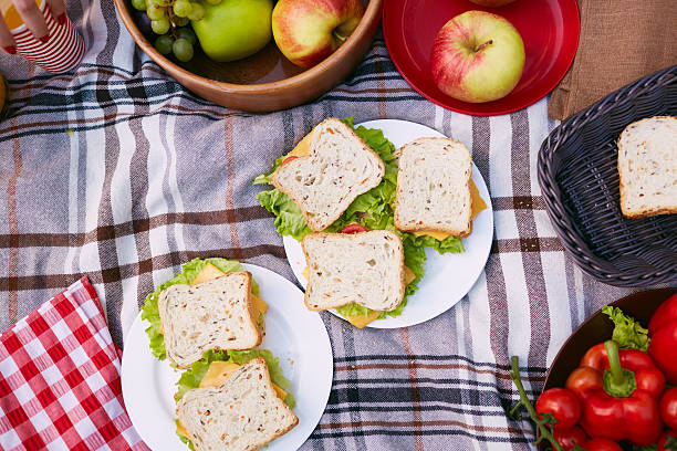 istock Lunch outdoors 470237560