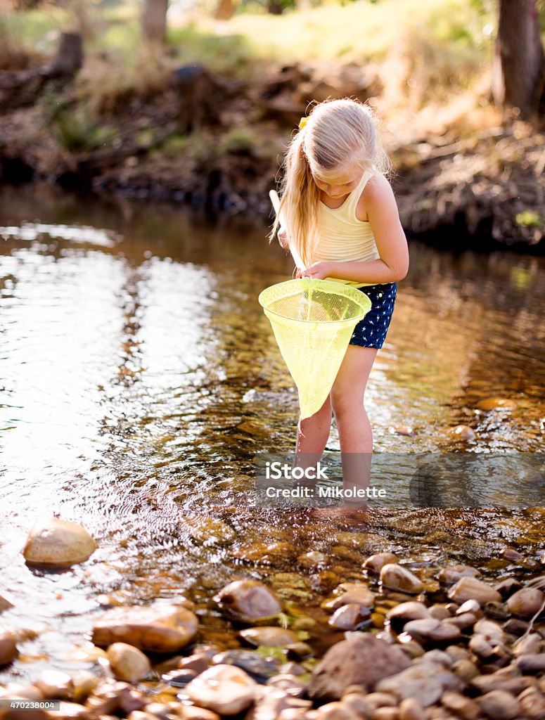 We'll be best friend Shot of a little girl fishing with a fishing nethttp://195.154.178.81/DATA/i_collage/pu/shoots/790859.jpg 2015 Stock Photo