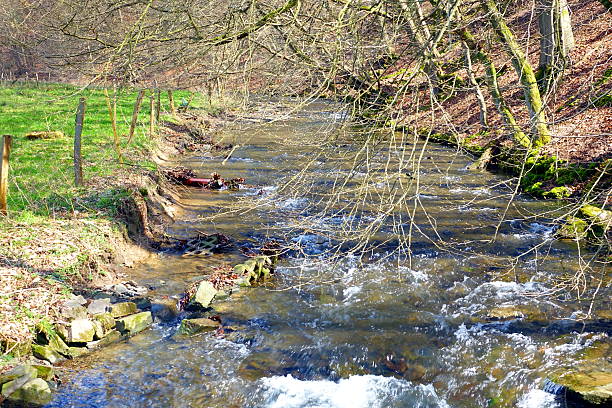 istock Stream in the forest in winter 470238688