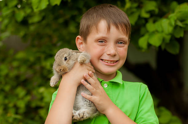 istock The little boy with a rabbit in the hands 470241432