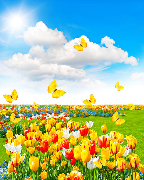 istock Spring time landscape with butterflies and sunny blue sky 470244290