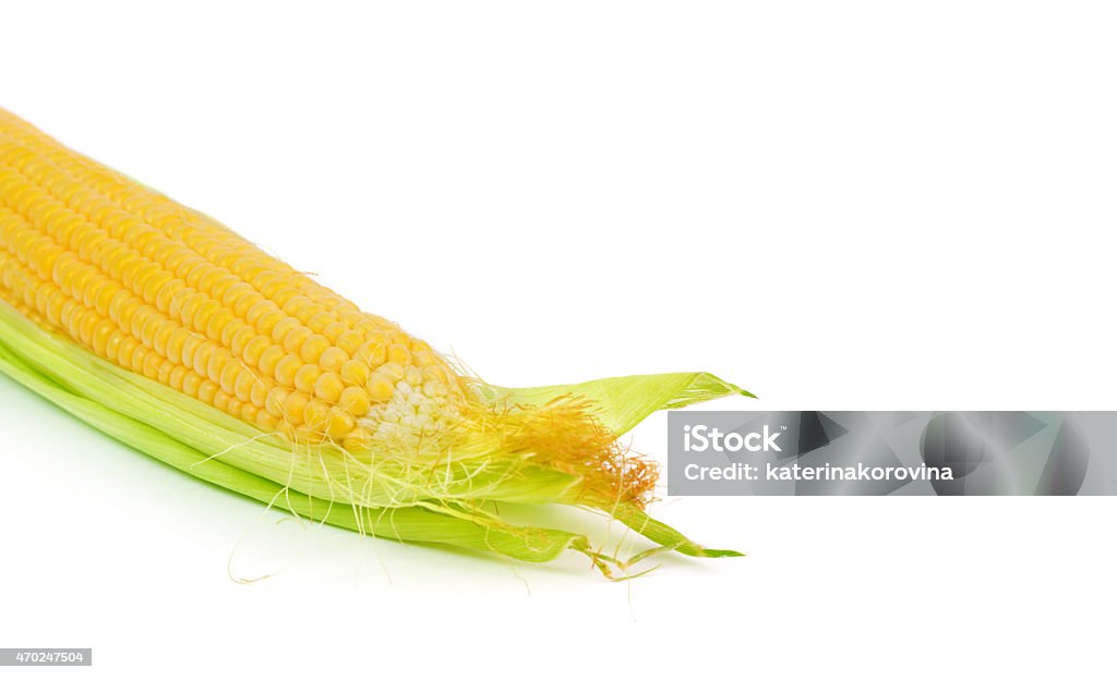 Ear of corn isolated on white Ear of corn isolated on a white background 2015 Stock Photo