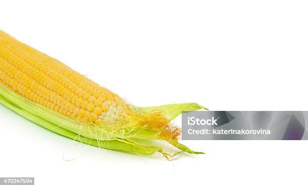 Ear Of Corn Isolated On White Stock Photo - Download Image Now - 2015, Agriculture, Breakfast