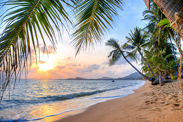 istock Sunrise on sea coast 470247726