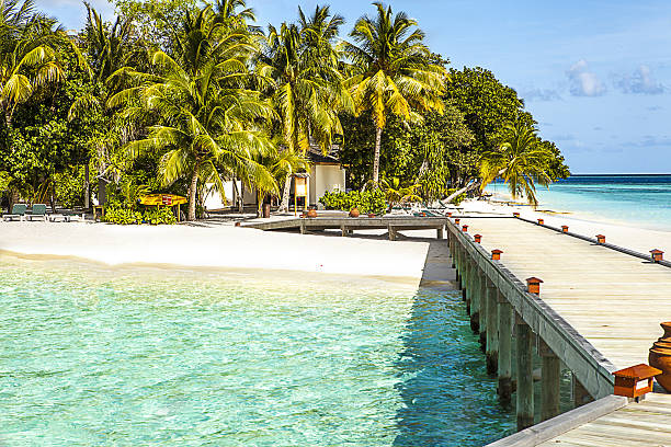 istock Tropical island paradise beach 470248370