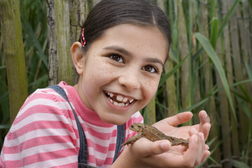 Portrait of cheerful young girl holding frog outdoors