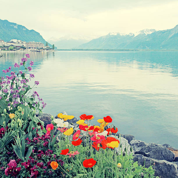 istock Lake Geneva in Montreux, Switzerland. 470252148