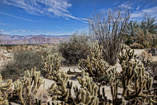 Mohave Desert Landscape Near Borrago Springs Mohave Desert Landscape Near Borrago Springs borrego springs photos stock pictures, royalty-free photos & images