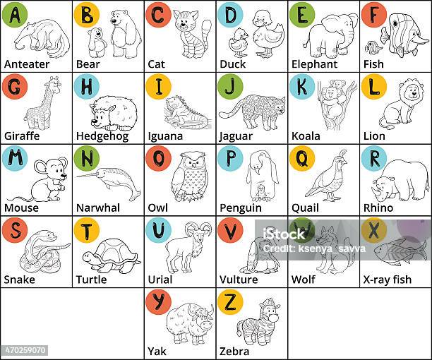 Vector Colorless Zoo Alphabet With Cute Animals Stock Illustration - Download Image Now - 2015, Activity, Alphabet