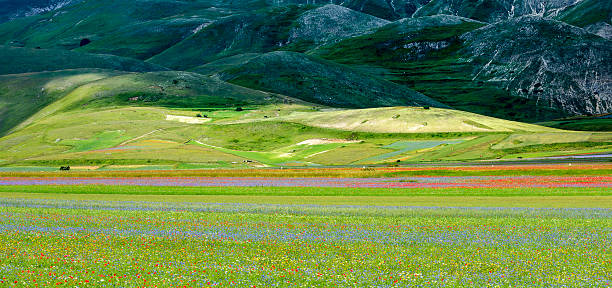 istock Piano Grande di Castelluccio (Italy) 470262240