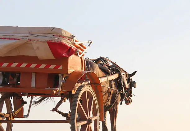 Photo of Horse and cart waiting for work