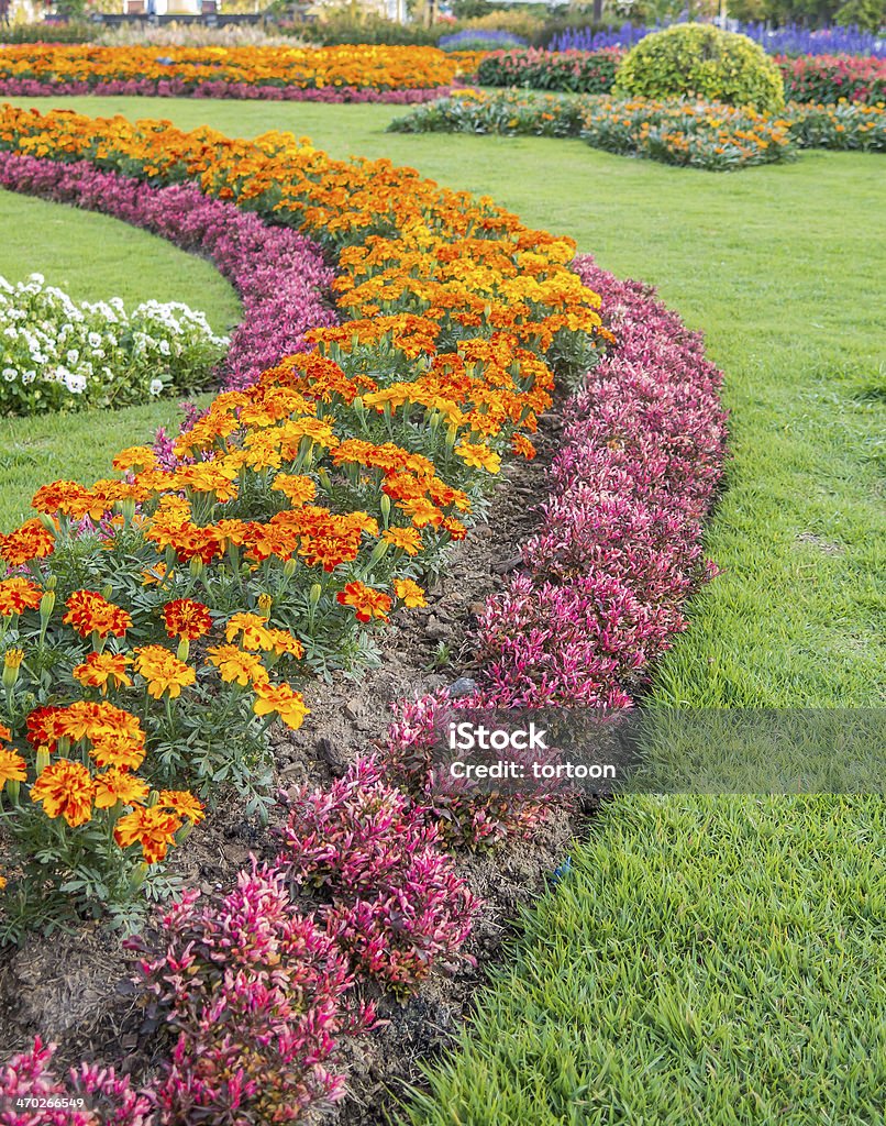 Colourful Flowerbeds and Winding Grass Pathway Colourful Flowerbeds and Winding Grass Pathway in an Attractive Thailand Formal Garden Vegetable Garden Stock Photo