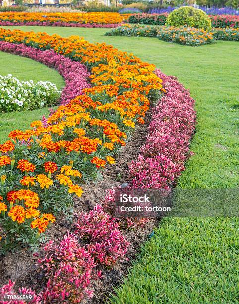 Colourful Flowerbeds And Winding Grass Pathway Stock Photo - Download Image Now - Vegetable Garden, Yard - Grounds, Autumn