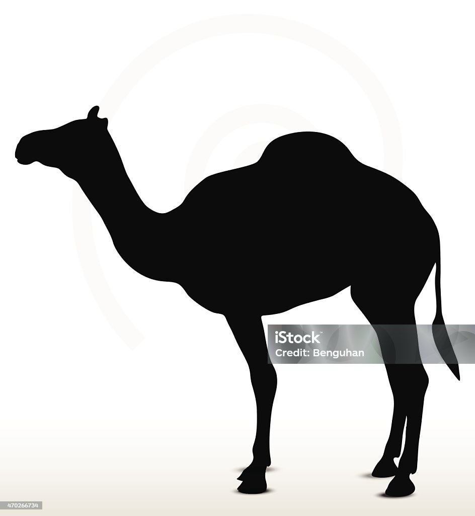 camel in default pose Vector Image - camel in default pose  isolated on white background 2015 stock vector