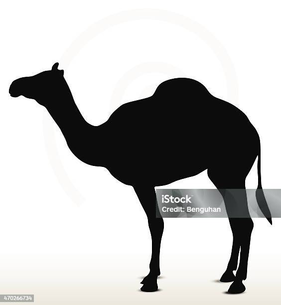 Camel In Default Pose Stock Illustration - Download Image Now - 2015, Activity, Animal