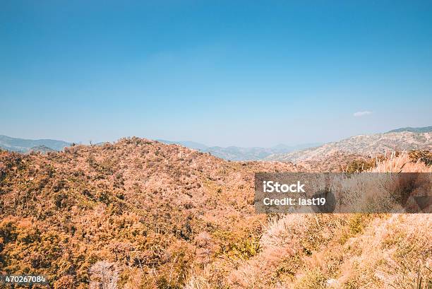 Deciduous Forest Khlong Lan Thailand Stock Photo - Download Image Now - 2015, Arid Climate, Asia