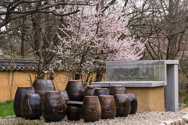 Cherry blossom in a garden