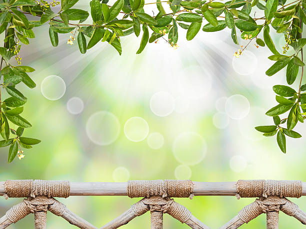 Vine leaves and handrail wood over abstract green background