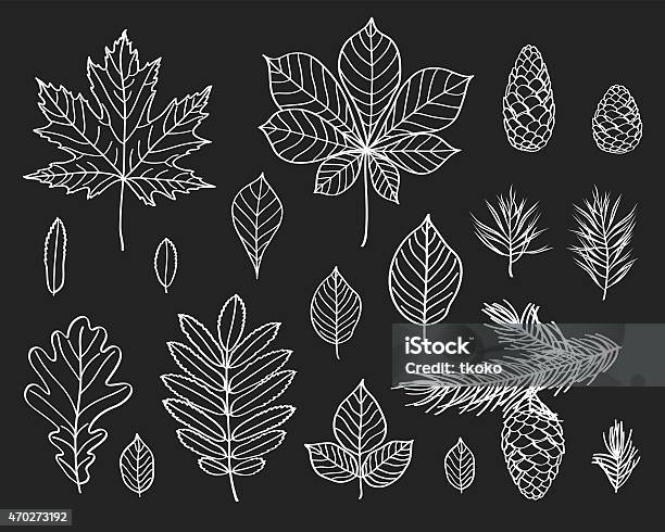 The Leaves Of Different Trees Stock Illustration - Download Image Now - 2015, Ash Tree, Aspen Tree