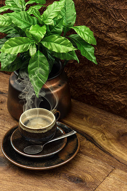 ブラックコーヒーや新鮮な植物の木製テーブル - coffee crop cup coffee bean coffee ストックフォトと画像