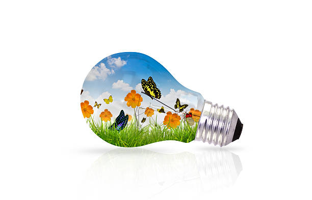 istock Light bulb and fresh spring green grass with butterfly 470278753