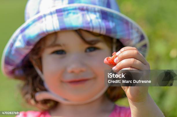 Young Girl Showing The Raspberry She Just Took Stock Photo - Download Image Now - 4-5 Years, Agricultural Field, Agriculture