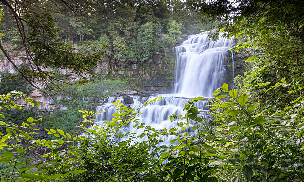 istock Summer waterfall peeking through green foliage 470284866