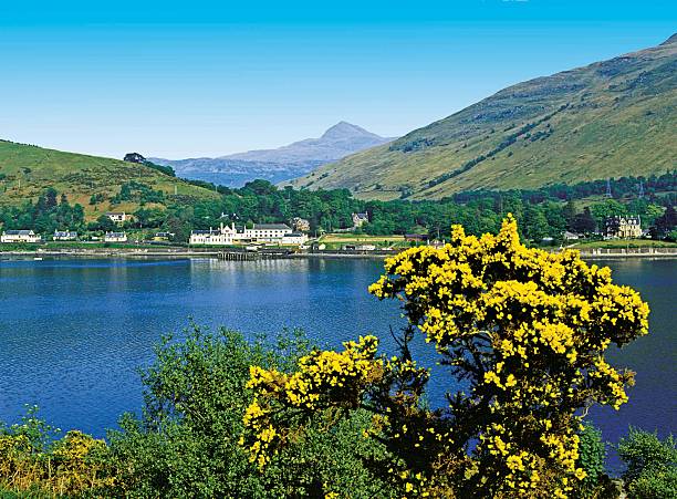 arrochar, loch długie i ben lomond centralna szkocja - loch lomond loch ben lomond scotland zdjęcia i obrazy z banku zdjęć