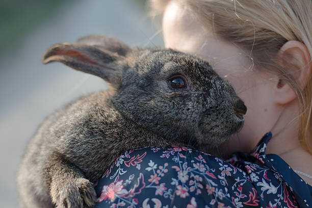 istock Blonde girl holding easter bunny 470288738