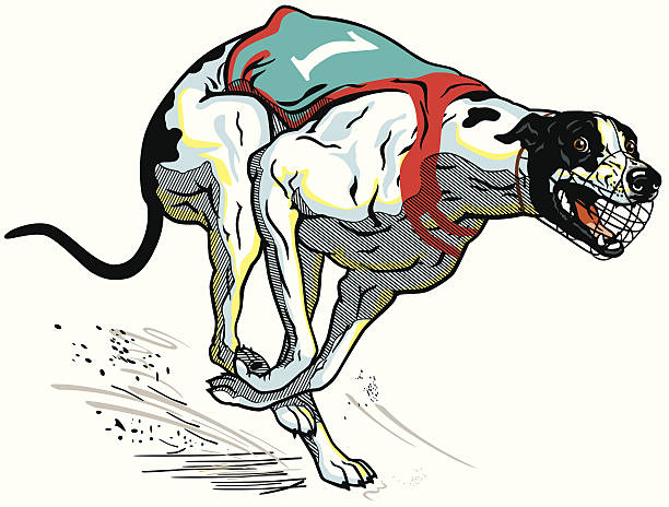 ランニングレースの犬 - sight hound点のイラスト素材／クリップアート素材／マンガ素材／アイコン素材