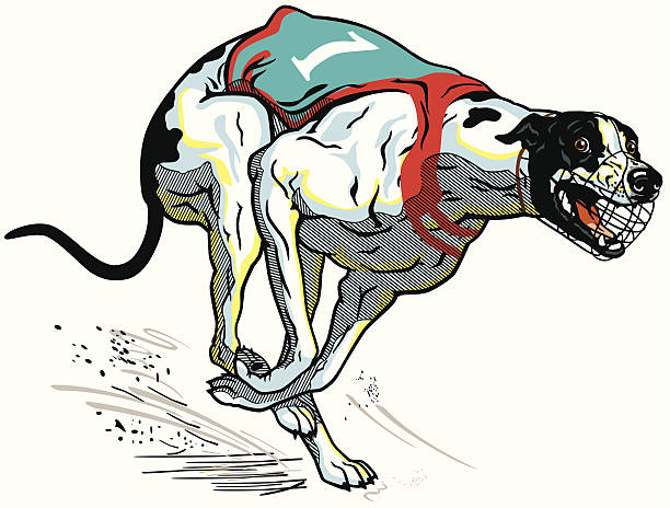 biegania wyścigów psów - sight hound stock illustrations