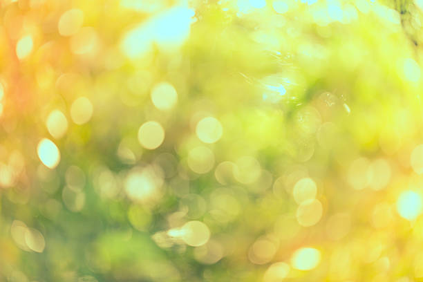 istock Vintage bokeh of nature background 470290196