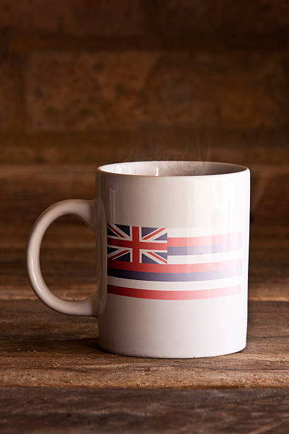 istock Hawaii Mug on Wooden Background 470301484