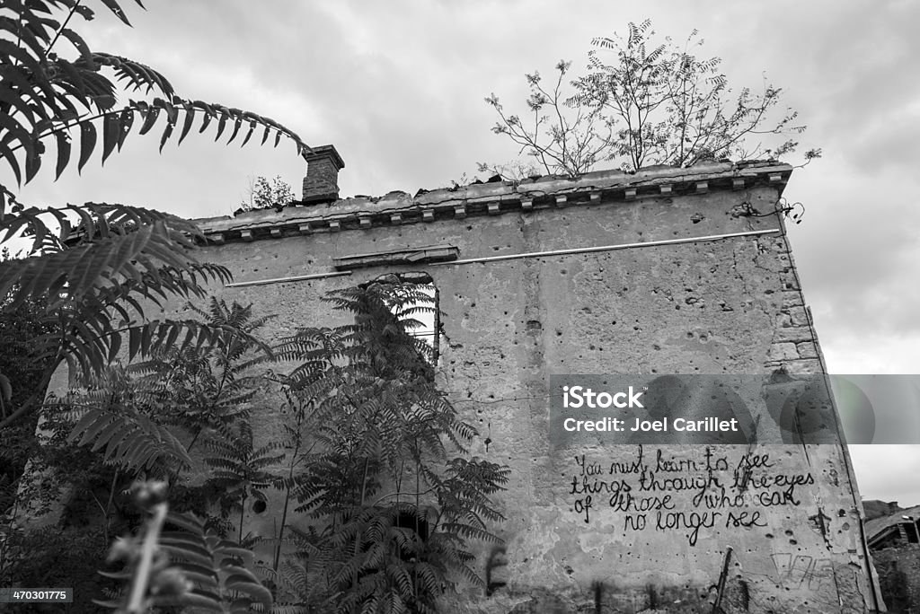 Message on war-damaged building in Mostar, Bosnia Trees grow on the top of a shrapnel and bullet scarred building gutted during the Bosnian War in the early 1990s in Mostar, Bosnia and Herzegovina. A message scrawled in English reads, "You must learn to see things through the eyes of those who can no longer see." Bosnia and Herzegovina Stock Photo