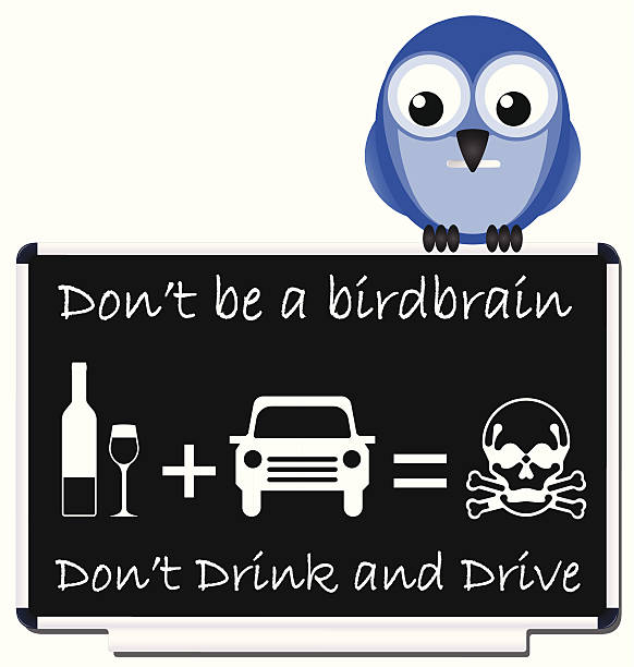 Drink and drive Do not be a birdbrain drink and drive message birdbrain stock illustrations
