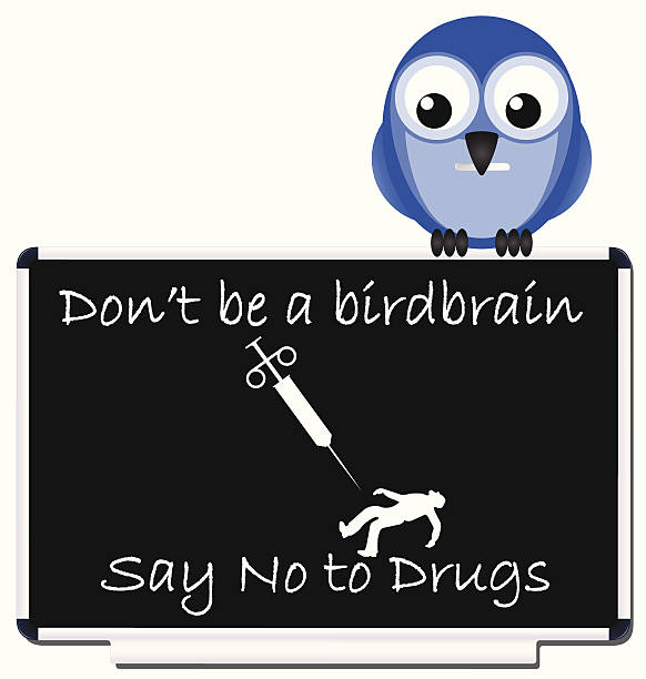 No to drugs Do not be a birdbrain say no to drugs message birdbrain stock illustrations