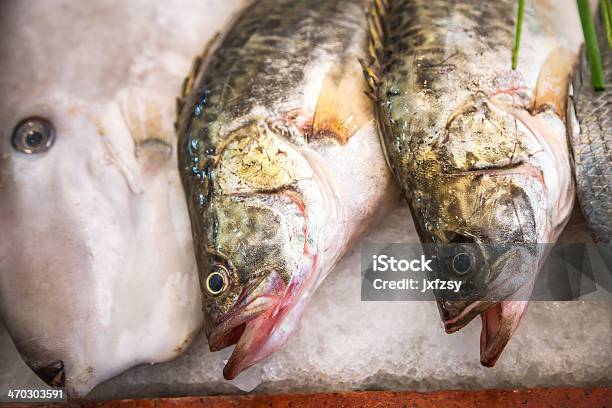 Stacked Sea Fish In The Market Stock Photo - Download Image Now - Animal Body Part, Animal Fin, Animal Head